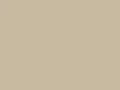 Desert Tan finish swatch